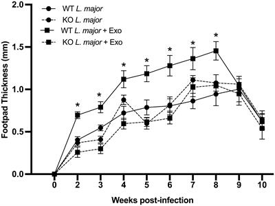 Implication of the Annexin 1/FPR axis in leishmanial exosome-mediated Leishmania major skin hyperpathogenesis